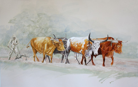 OXEN PLOUGHING